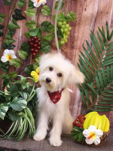 20230812風太郎くん